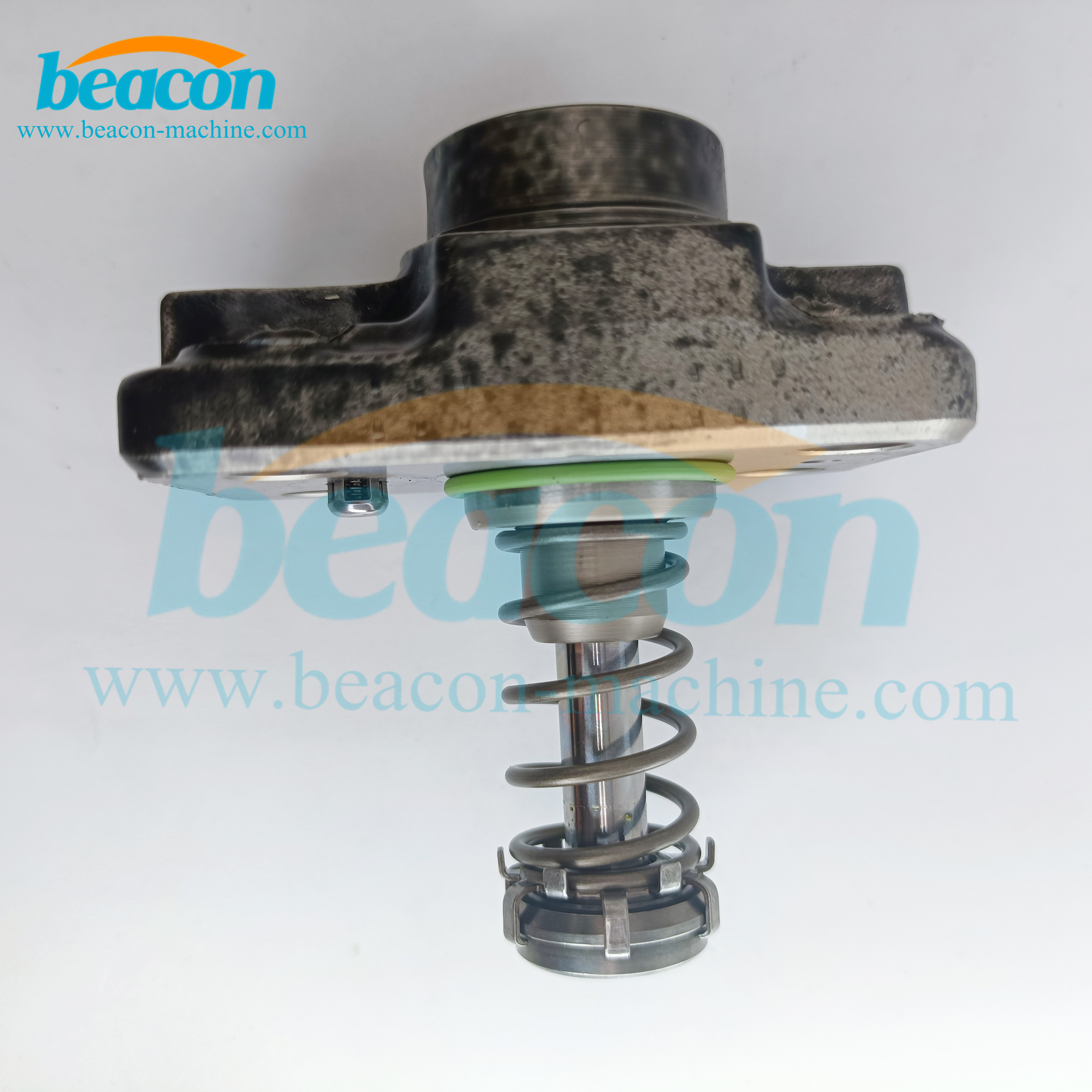 Diesel Fuel Pump Plunger F01M101781 Beacon Machine f01m101781 F 01M 101 781 for CP1 Pump